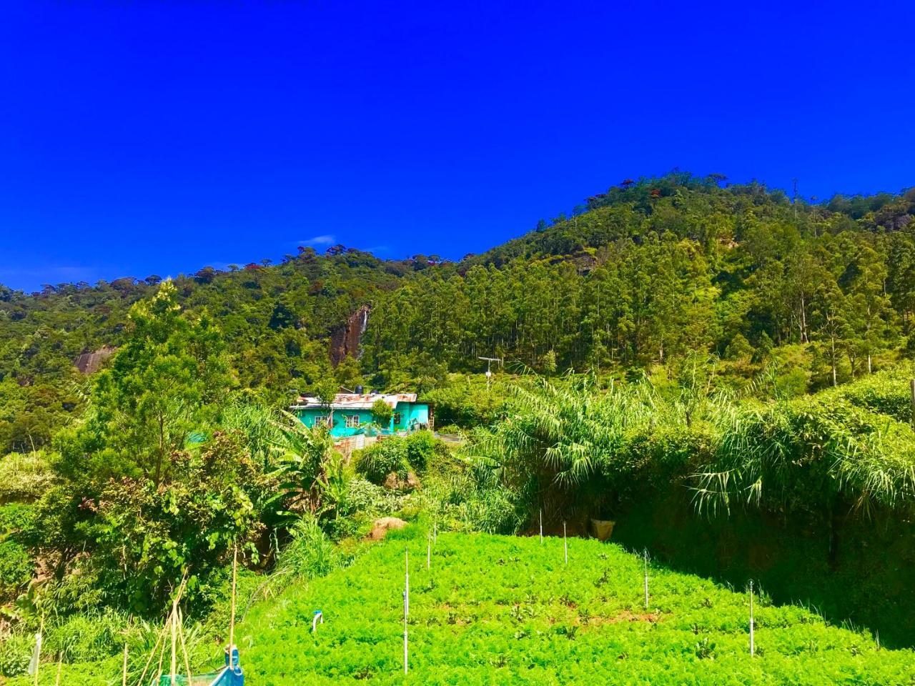 Loversleap Bungalow نوفارا إيلِيا المظهر الخارجي الصورة